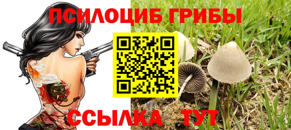Псилоцибиновые грибы Magic Shrooms  Галлюциногенные грибы ЛСД  Липецк  Вход с VPN 
